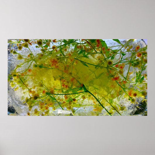 氷の花 ポスター (正面)