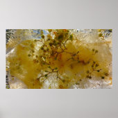 氷の花 ポスター (正面)