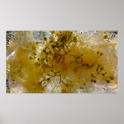 氷の花 ポスター (正面)