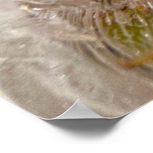 氷の花 ポスター (角)