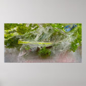 氷の花 ポスター (正面)