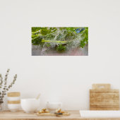 氷の花 ポスター (キッチン)