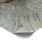 氷の花 ポスター (角)