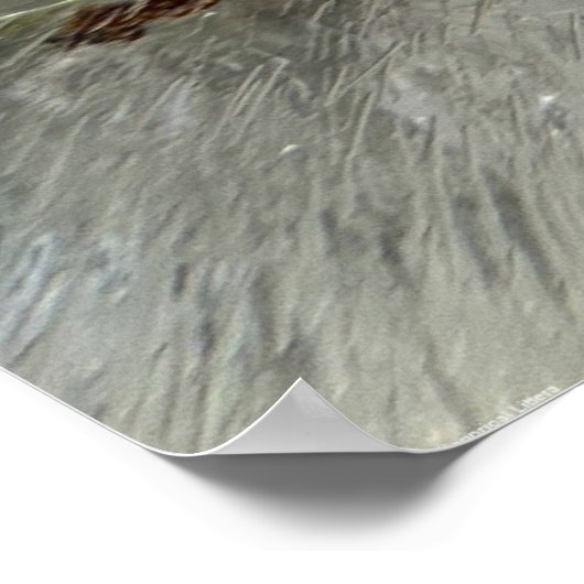 氷の花 ポスター (角)