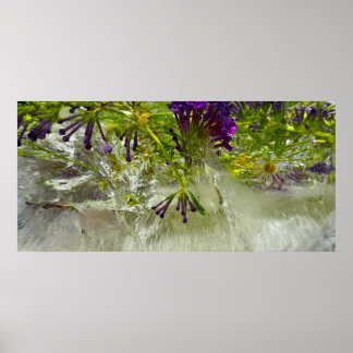 氷の花 ポスター