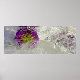 氷の花 ポスター
