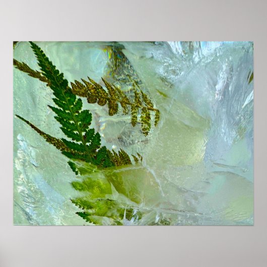 氷の花 ポスター (正面)