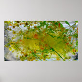 氷の花 ポスター (正面)