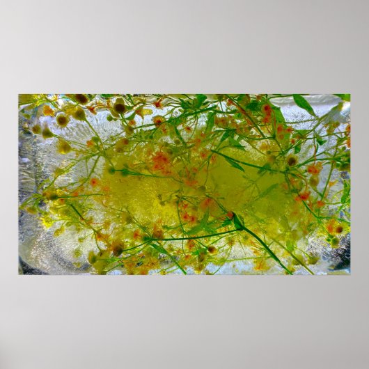 氷の花 ポスター (正面)