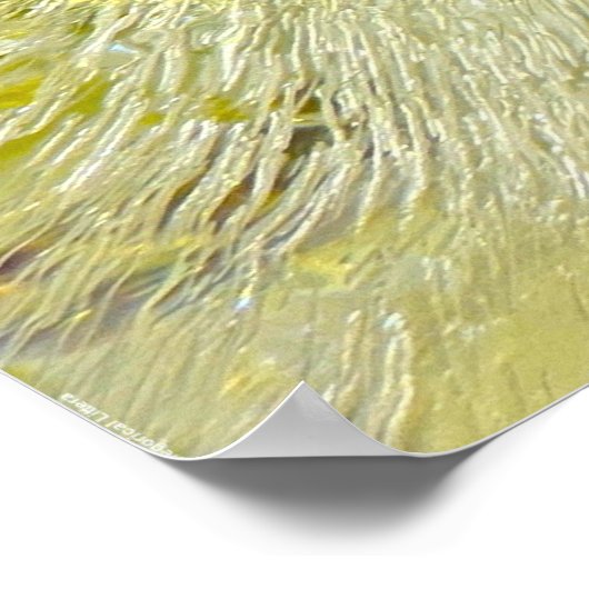 氷の花 ポスター (角)