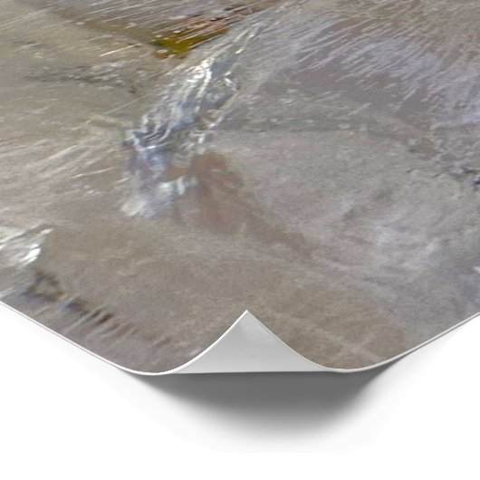 氷の花 ポスター (角)