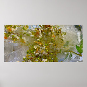 氷の花 ポスター