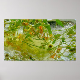 氷の花 ポスター