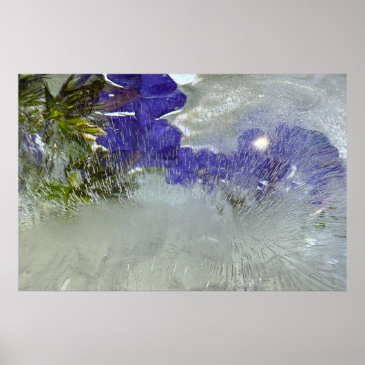 氷の花 ポスター (正面)