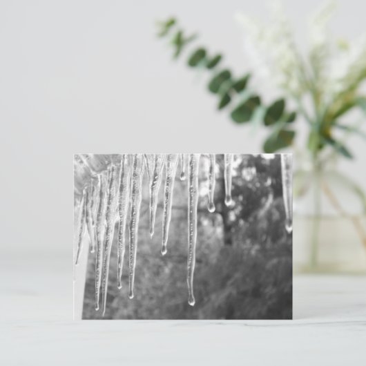 氷サイクル ポストカード (スタンド正面)