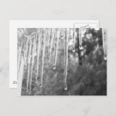 氷サイクル ポストカード (正面/裏面)