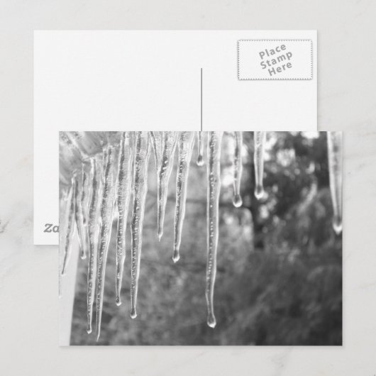 氷サイクル ポストカード (正面/裏面)