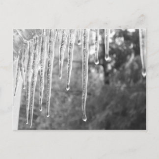 氷サイクル ポストカード