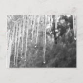 氷サイクル ポストカード (正面)