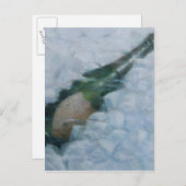 氷上のシャンパン 2012 ポストカード (正面/裏面)