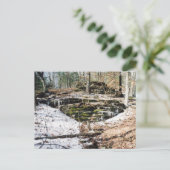 氷上のトウガイ ポストカード (スタンド正面)