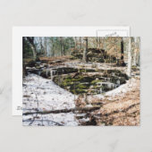 氷上のトウガイ ポストカード (正面/裏面)