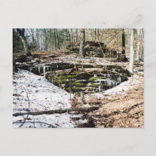 氷上のトウガイ ポストカード (正面)