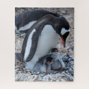 氷上のペンギンの親子 ジグソーパズル
