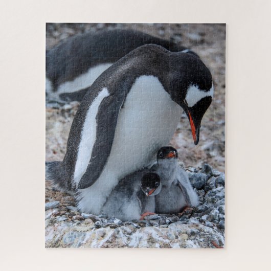 氷上のペンギンの親子 ジグソーパズル (縦)