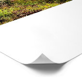 氷原パークウェイに沿って ポスター (角)