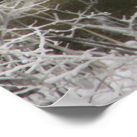 氷反射 ポスター (角)