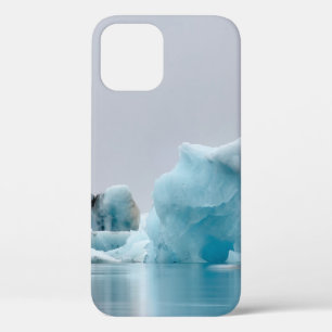 氷姿の水体近傍 iPhone 12ケース