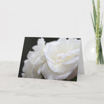 氷山のバラの悔やみや弔慰