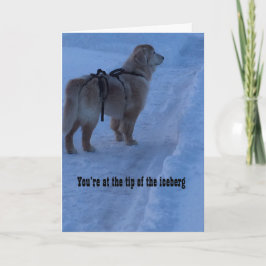 氷山の一角です、こ得のカード カード