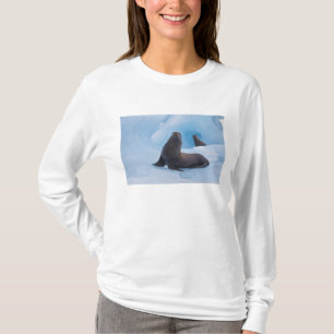 氷山の上で遊び戯れるスタellerアシカ tシャツ