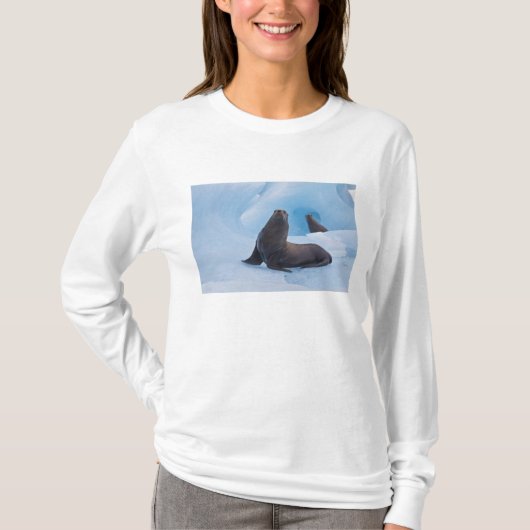 氷山の上で遊び戯れるスタellerアシカ tシャツ (正面)