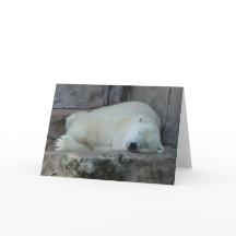 氷山の夢を見ること