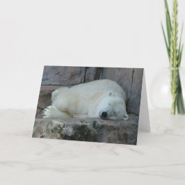 氷山の夢を見ること シーズンカード