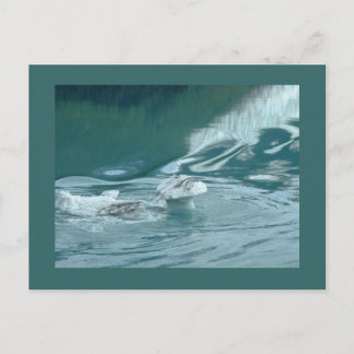 氷山キノコの喜び ポストカード