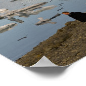 氷山層 ポスター (角)