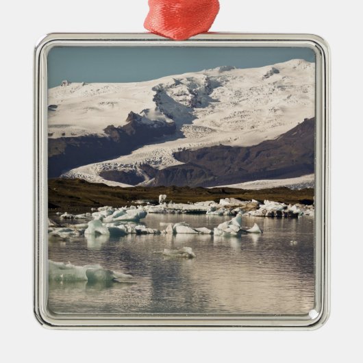 氷山層 メタルオーナメント (正面)