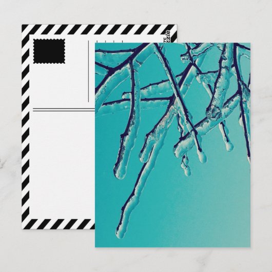 氷枝 ポストカード (正面/裏面)