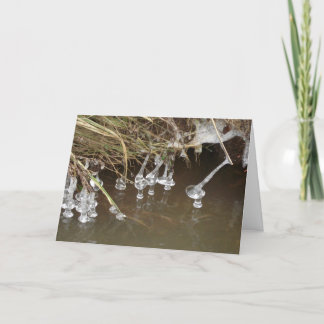 氷柱 シーズンカード