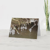 氷柱 シーズンカード (正面)