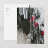 氷柱 ポストカード (正面/裏面)