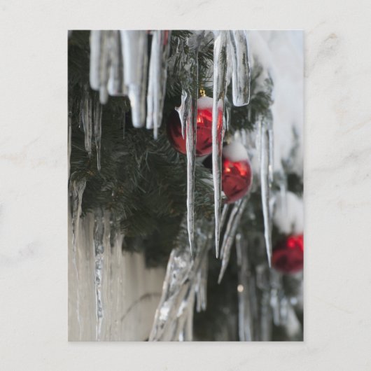 氷柱 ポストカード (正面)