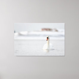 氷水の中で泳ぐ白鳥をミュート キャンバスプリント