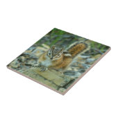 氷河のチプムンク国立公園 タイル (側面)