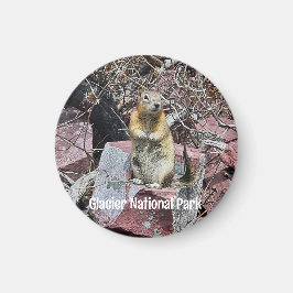 氷河のチプムンク国立公園 マグネット