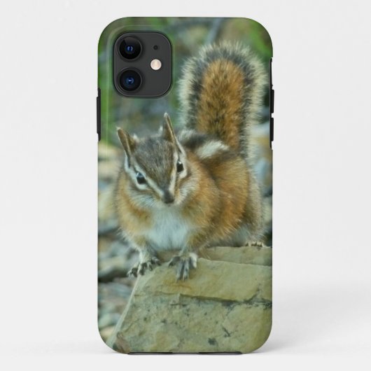 氷河のチプムンク国立公園 Case-Mate iPhoneケース (裏面)